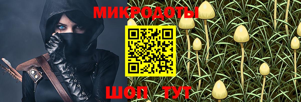 Псилоцибиновые грибы Psilocybe  Галлюциногенные грибы Psilocybine cubensis  Кашира  Вход с VPN 